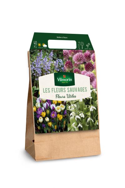 Bulbes à fleurs à planter à l'automne - Kraft sauvage (x40) - MEDIA_3D